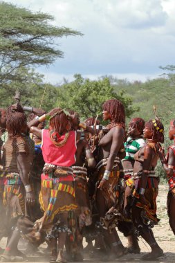 Hamar Etiyopya'da Omo Vadisi kabilesi