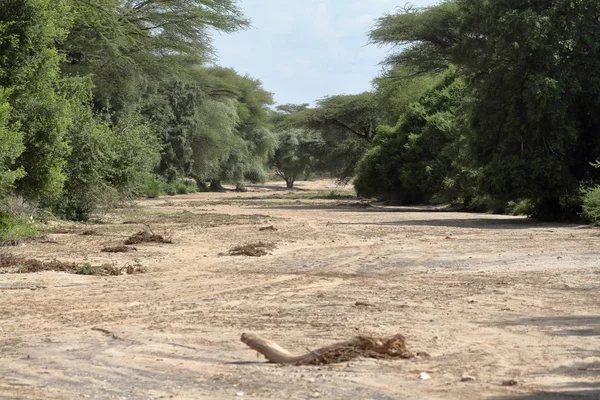 De Omo-rivier in Ethiopië — Stockfoto