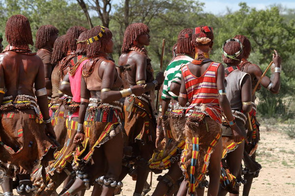 The tribe of Hamar in the Omo Valley of Ethiopia