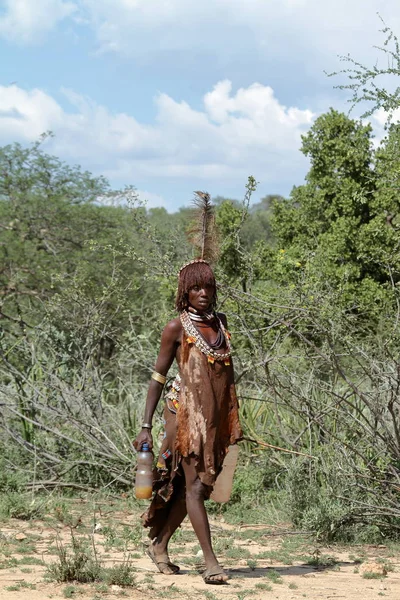 De stam van Hamar in de Omo vallei van Ethiopië — Stockfoto