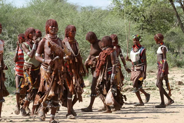 Hamar i den Etiopiens Omo Valley stam — Stockfoto