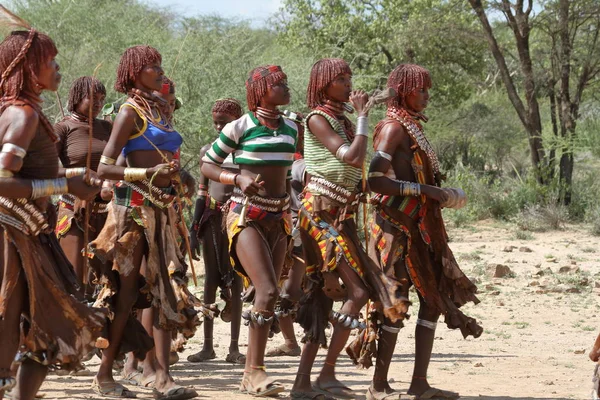 에티오피아의 대해서 계곡에 하 마 르의 부족 — 스톡 사진