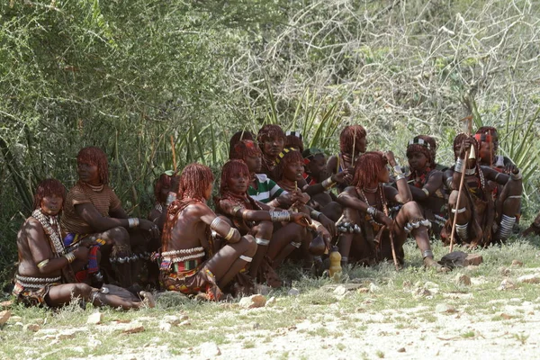 Hamar i den Etiopiens Omo Valley stam — Stockfoto