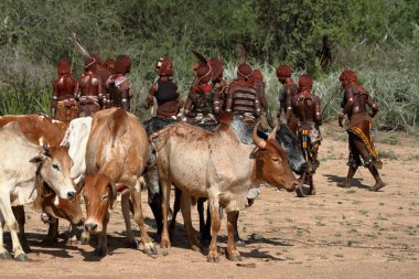 Hamar Etiyopya'da Omo Vadisi kabilesi