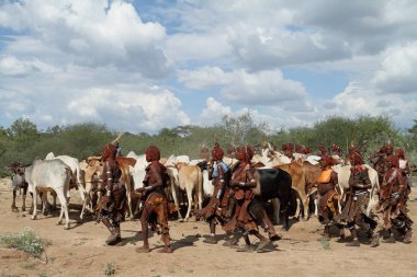 Hamar Etiyopya'da Omo Vadisi kabilesi