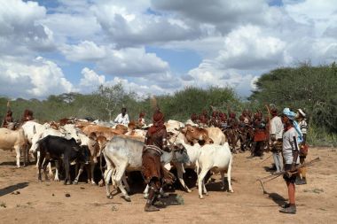 Hamar Etiyopya'da Omo Vadisi kabilesi