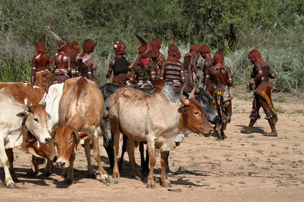 La tribu de Hamar en el Valle del Omo de Etiopía — Foto de Stock