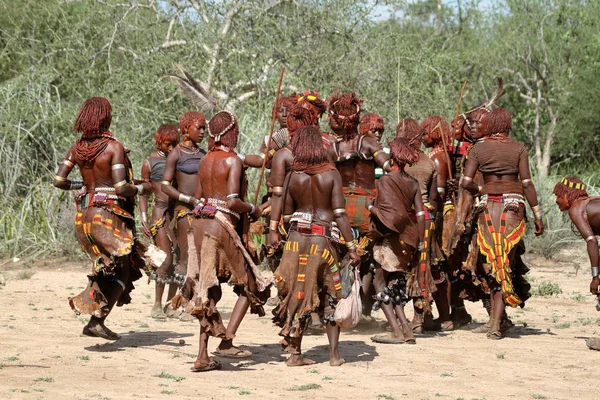 The tribe of Hamar in the Omo Valley of Ethiopia — Stock Photo, Image