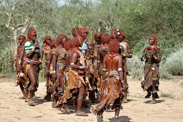 The tribe of Hamar in the Omo Valley of Ethiopia — Stock Photo, Image