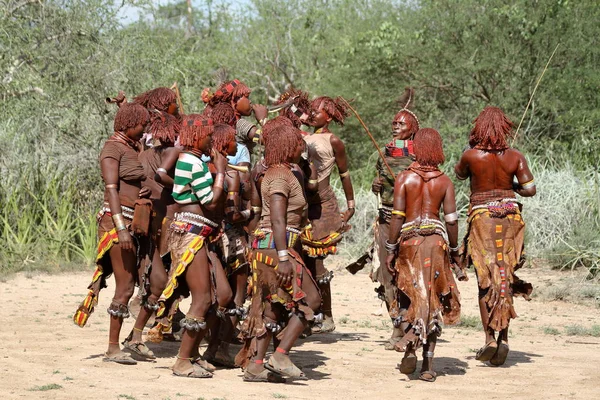 Hamars stamme i Omo Valley i Etiopien - Stock-foto