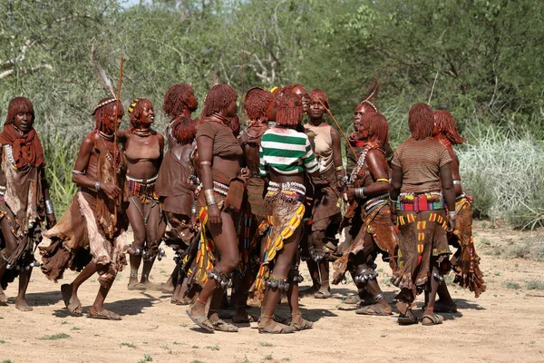 The tribe of Hamar in the Omo Valley of Ethiopia — Stock Photo, Image