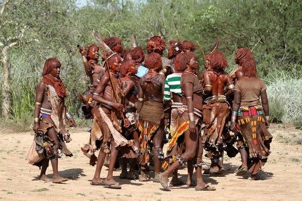 The tribe of Hamar in the Omo Valley of Ethiopia — Stock Photo, Image