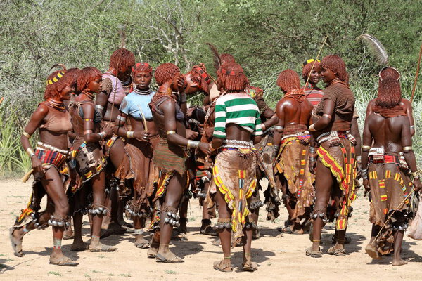 The tribe of Hamar in the Omo Valley of Ethiopia