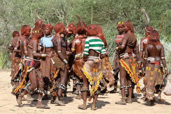 The tribe of Hamar in the Omo Valley of Ethiopia — Stock Photo, Image