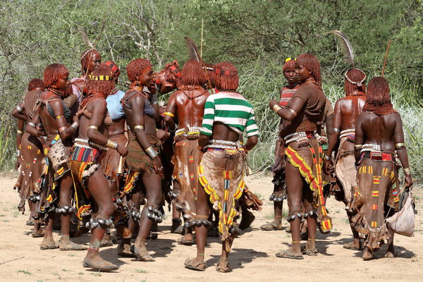 The tribe of Hamar in the Omo Valley of Ethiopia