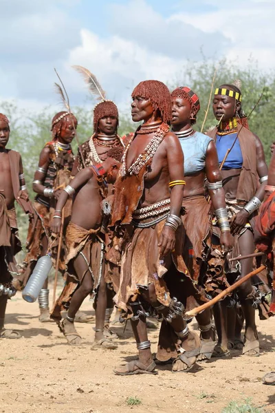 Hamar i den Etiopiens Omo Valley stam — Stockfoto