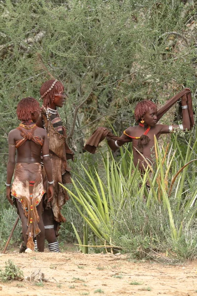 La tribu de Hamar en el Valle del Omo de Etiopía —  Fotos de Stock