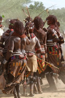 Hamar Etiyopya'da Omo Vadisi kabilesi