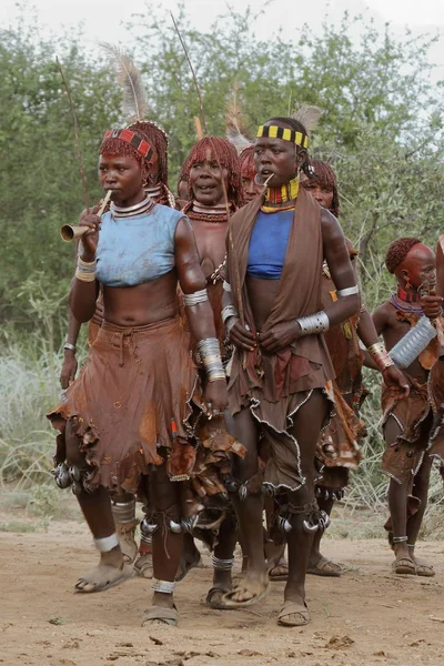 The tribe of Hamar in the Omo Valley of Ethiopia — Stock Photo, Image