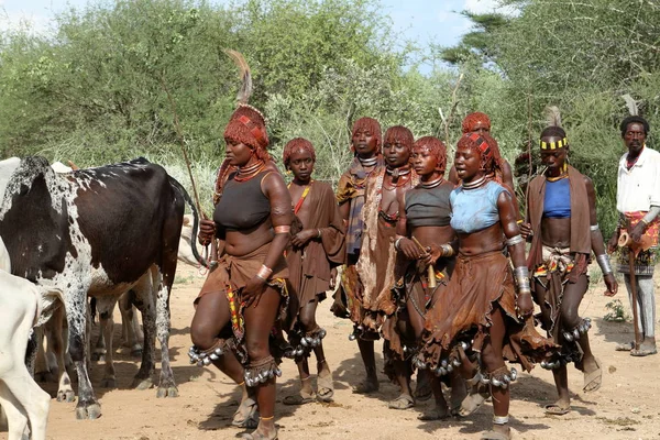 Plemienia Hamar w dolinie Omo w Etiopii — Zdjęcie stockowe