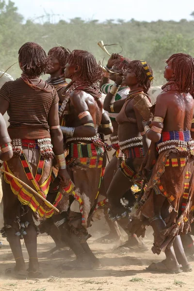 De stam van Hamar in de Omo vallei van Ethiopië — Stockfoto