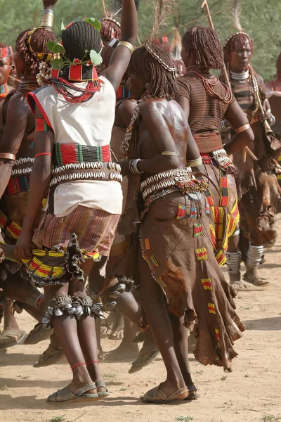 De stam van Hamar in de Omo vallei van Ethiopië — Stockfoto
