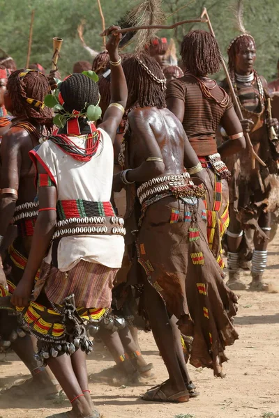 De stam van Hamar in de Omo vallei van Ethiopië — Stockfoto