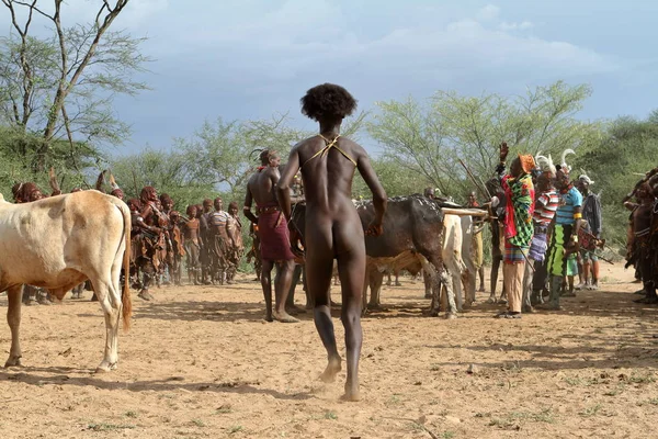 Ceremonia de Salto de Toro en el Valle del Omo de Etiopía — Foto de Stock