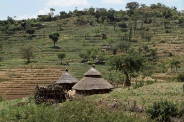 Saman kulübelerde geleneksel Etiyopya Omo Vadisi