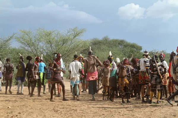 Τον ταύρο πηδώντας τελετή στην κοιλάδα του Omo της Αιθιοπίας — Φωτογραφία Αρχείου