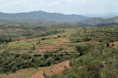 Etiyopya'da Omo Vadisi'nin manzara