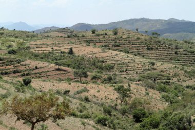 Etiyopya'da Omo Vadisi'nin manzara