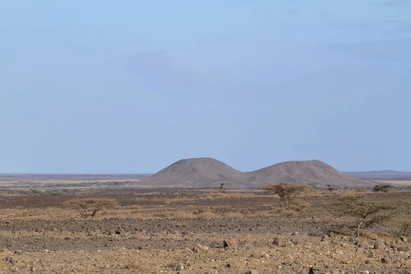 De savannah en bushland in Kenia — Stockfoto