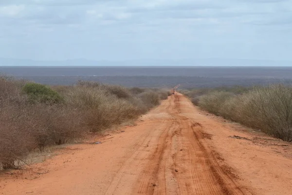 Landstraßen und Wege im Norden Kenias — Stockfoto