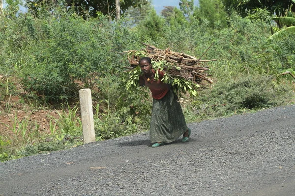 Kenya'da kadın iş — Stok fotoğraf