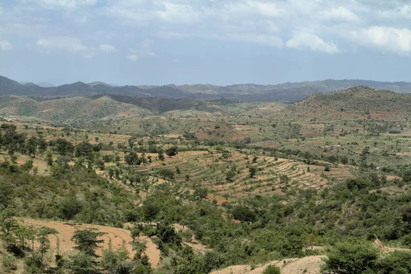 Campos e prados em Etiópia — Fotografia de Stock