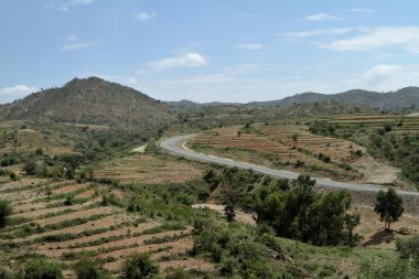 Alanlar ve çayırlar Etiyopya
