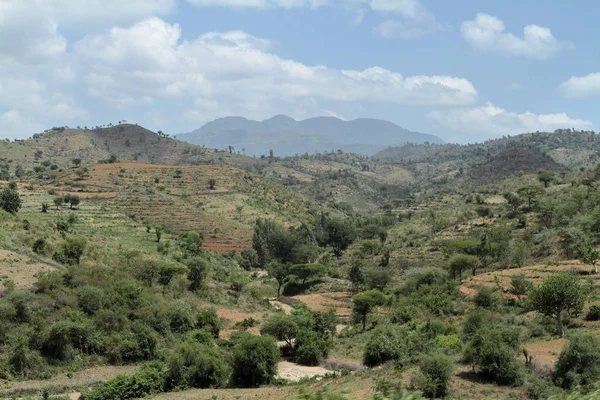 字段和草甸在埃塞俄比亚 — 图库照片