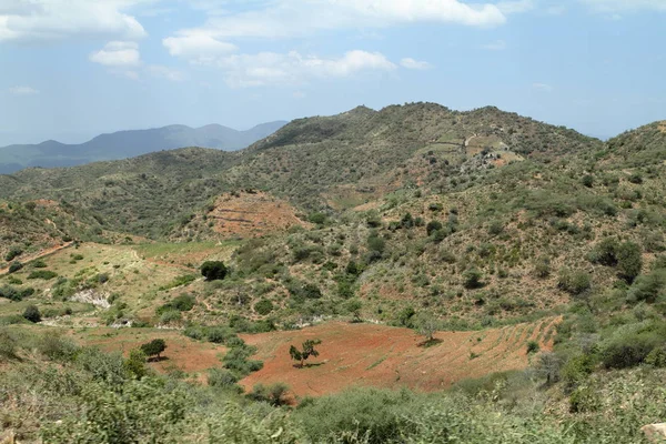 野原と牧草地エチオピアで — ストック写真