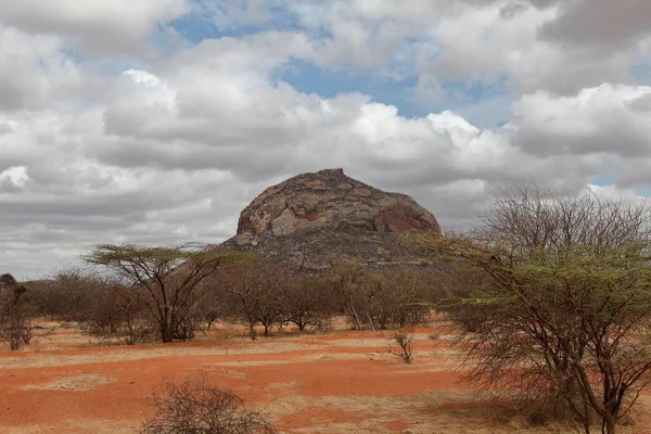La savana nel nord del Kenya — Foto Stock
