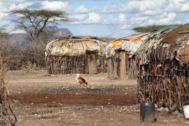 Köy ve Kenya f Samburu kabilesinin evleri