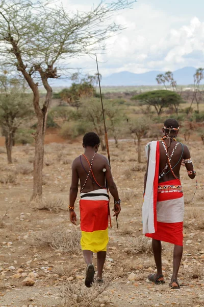 Kenya Samburu kabilesi erkeklerden