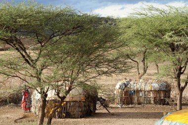Köy ve Kenya f Samburu kabilesinin evleri