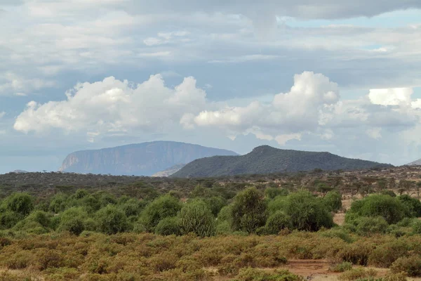 Den afrikanska savannen i Kenya — Stockfoto