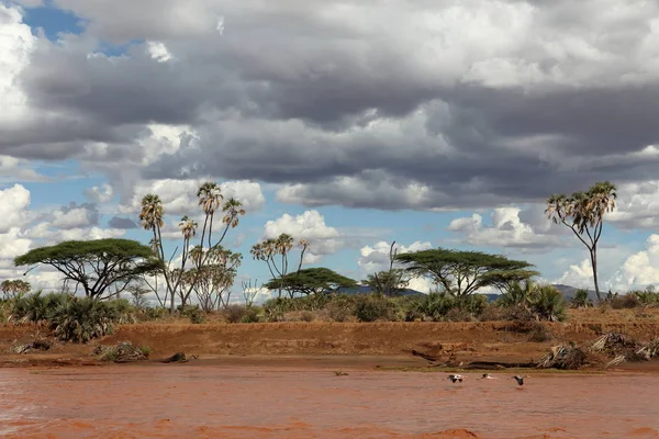 Ο ποταμός Samburu στην Κένυα — Φωτογραφία Αρχείου
