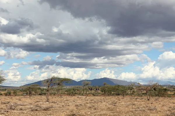 De landschappen in Noord-Kenia — Stockfoto