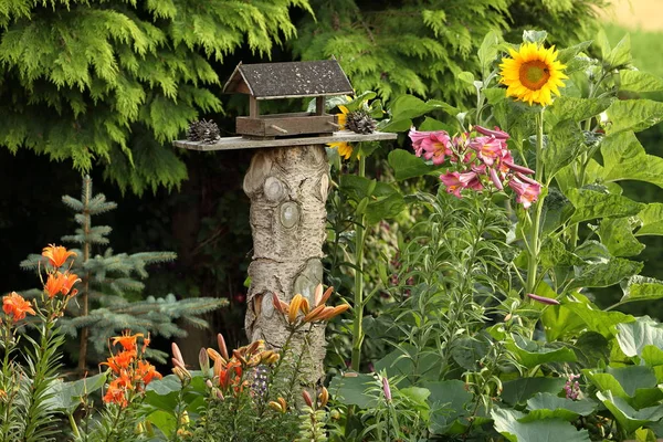 Case per uccelli in giardino — Foto Stock