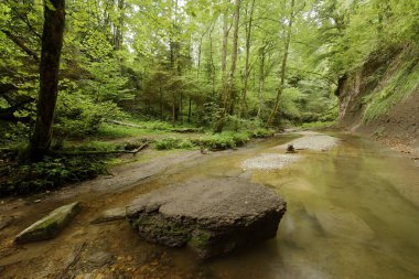 Hechingen Almanya'da yakın Junginger şelale