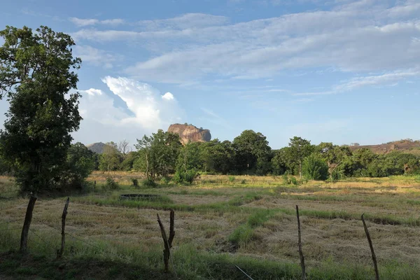 The Lion Rock of Sigiriya in Sri Lanka — Stock Photo, Image