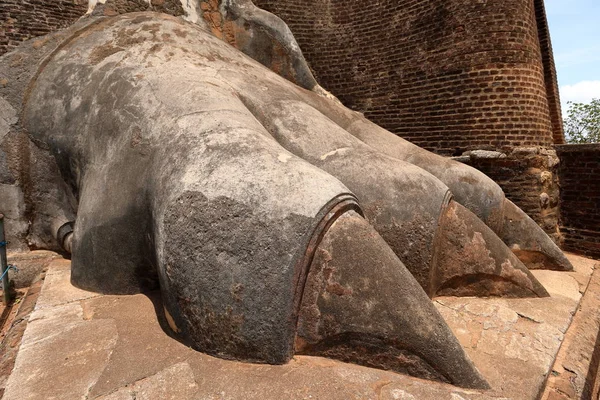 Lionen utfärda utegångsförbud för Sigiriya i Sri Lanka — Stockfoto